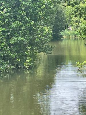 Photo 15- click for photo gallery